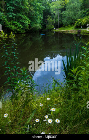 Ein Blick auf einen kleinen Teich inmitten von Grün und Bäumen Stockfoto