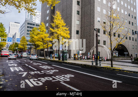 Sapporo im späten Herbst. Schöne ginkgo Baum kann überall entlang der Straße gefunden werden. Die Stadt liegt in einer wunderschönen gelbliche Farbe bedeckt. Stockfoto