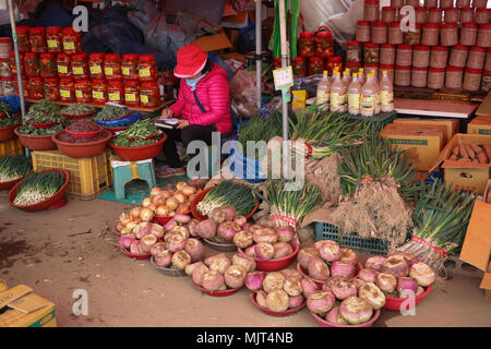 Eine koreanische Frau in einem hellen rosa Jacke betreut Sie in den traditionellen Markt in Ganghwa, Südkorea, wo sie verkauft Kimchi, Rüben, Zwiebeln. Stockfoto