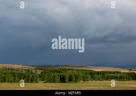 Ein Sturm lauert unheilvoll über Ost Kalifornien Weideland. Stockfoto