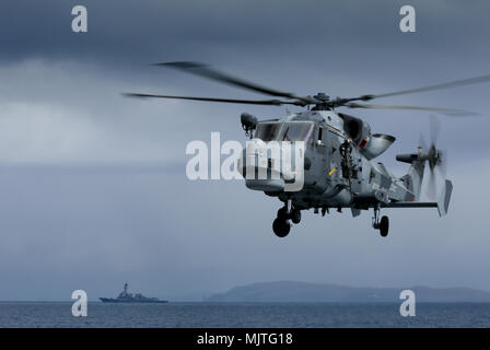 Wildcat Hubschrauber von der Royal Navy betrieben Stockfoto