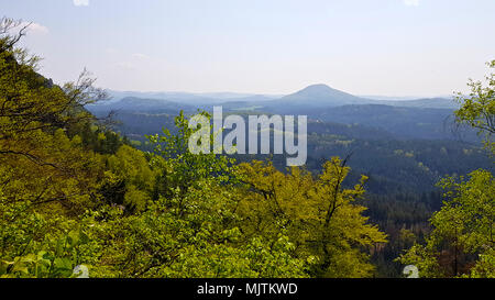 Nationalpark Podyjí (Tschechisch: Národní park Podyjí) ist ein Nationalpark in der Südmährischen Region in der Tschechischen Republik. Neben Österreichs Nationalpark Thayatal an der Grenze, zusammen sind sie als Inter-nationalpark bezeichnet. Podyjí ist einer von vier Nationalparks in der Tschechischen Republik. Es schützt Naturnahe Wälder entlang der tiefen Dyje River Valley. Stockfoto