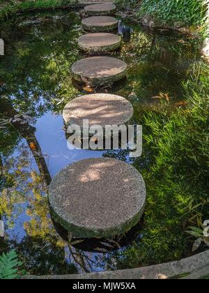 Sechs Runden Trittsteine über kleine Teich positioniert mit Reflexion der Bäume im Wasser. Stockfoto