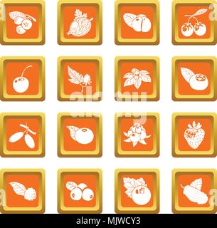 Beeren Icons Set orange Quadrat Vektor Stock Vektor