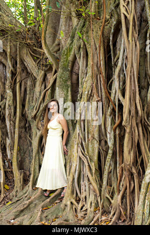 Junge Frau in der Nähe von einem Banyan Tree Stockfoto