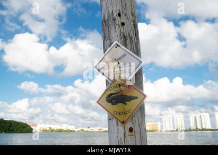 Warnzeichen der Alligatoren in Cancun, Mexiko Stockfoto