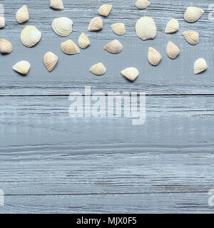 Streifen von Muscheln auf Blau Holz- Hintergrund. Stockfoto