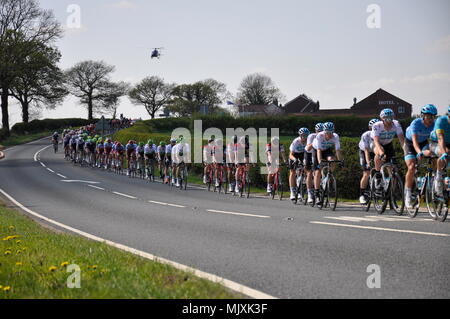 Peleton, Phase 3, die Tour de Yorkshire Stockfoto