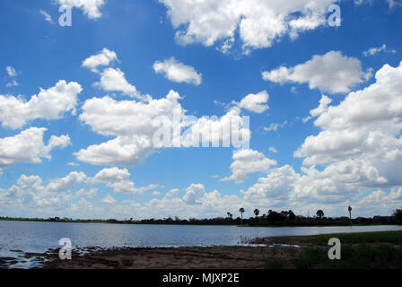 Ein See in der Nähe des Rufiji Fluss in das Selous Game Reserve, Tansania Stockfoto