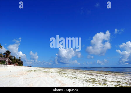 Den wunderschönen weißen Sandstrand von Bwejuu Strand an der Ostküste von Sansibar Stockfoto