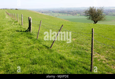 Zaun laufen entlang der oberen Kreide scarp Hang nach Süden Osten über Vale von Pewsey, in der Nähe von Knap Hill, Wiltshire, England, Großbritannien Stockfoto