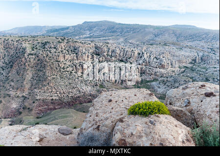 Dana Biosphärenreservat ist Jordanien das größte Naturschutzgebiet im Süden - zentrale Jordan. Dana Biosphärenreservat wurde 1989 in der Region gegründet. Stockfoto