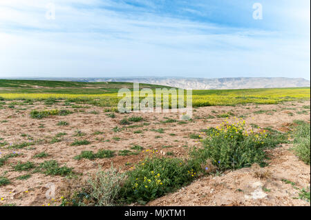 Dana Biosphärenreservat ist Jordanien das größte Naturschutzgebiet im Süden - zentrale Jordan. Dana Biosphärenreservat wurde 1989 in der Region gegründet. Stockfoto