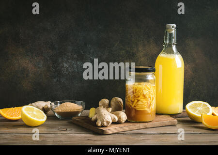 Ingwer Bug - Hausgemachte fermentierte probiotische Soda, Obst und Ingwer Bio trinken. Stockfoto