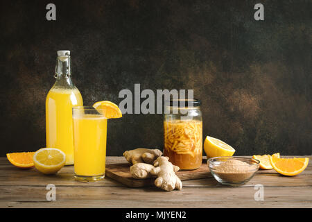 Ingwer Bug - Hausgemachte fermentierte probiotische Soda, Obst und Ingwer Bio trinken. Stockfoto