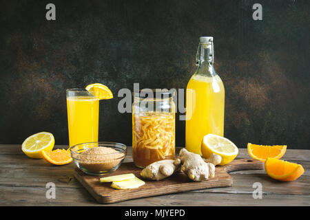 Ingwer Bug - Hausgemachte fermentierte probiotische Soda, Obst und Ingwer Bio trinken. Stockfoto