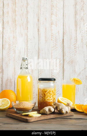 Ingwer Bug - Hausgemachte fermentierte probiotische Soda, Obst und Ingwer Bio trinken. Stockfoto