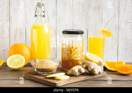 Ingwer Bug - Hausgemachte fermentierte probiotische Soda, Obst und Ingwer Bio trinken. Stockfoto