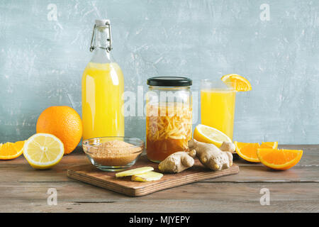 Ingwer Bug - Hausgemachte fermentierte probiotische Soda, Obst und Ingwer Bio trinken. Stockfoto