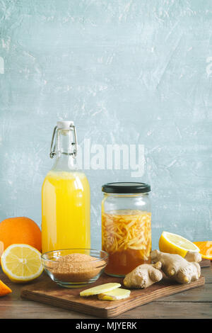 Ingwer Bug - Hausgemachte fermentierte probiotische Soda, Obst und Ingwer Bio trinken. Stockfoto