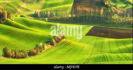 Fields.Czech Republik. In Südmähren. In der Stadt Kyjov. Stockfoto