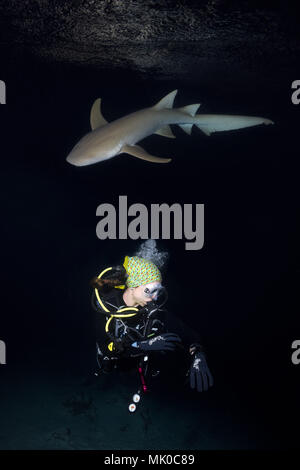 Weibliche Scuba Diver und Shark in der Nacht. Tawny Ammenhai, riesige Sleepy shark oder Madame X (Nebrius Art) Stockfoto