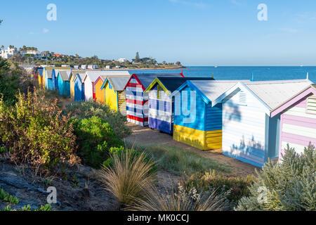 Die hellen und farbenfrohen Wald Strand baden Hütten auf Brighton Beach in der Nähe von Melbourne, Australien Stockfoto