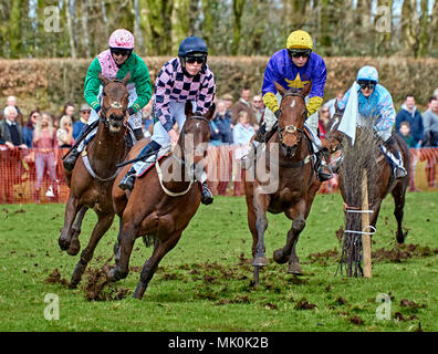 Vier laienhaften Jockeys reiten bay Jäger, Galopp über weichen Untergrund, während in einer Punkt-zu-Punkt konkurrieren Ereignis Stockfoto