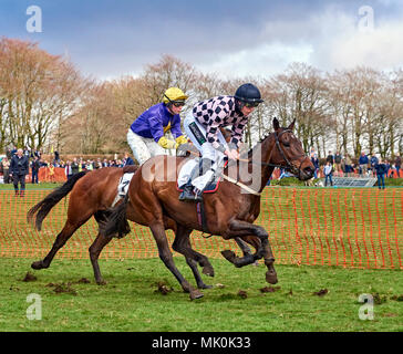 Zwei Amateur-Jockeys, die in der Bucht arbeitende Jäger reiten, galoppieren auf weichem Boden, während sie an einem Punkt-zu-Punkt-Event teilnehmen Stockfoto