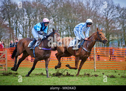 Zwei amateur Jockeys reiten Bucht und Kastanie Jäger, Galopp über weichen Untergrund, während in einer Punkt-zu-Punkt konkurrieren Ereignis Stockfoto