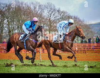 Zwei amateur Jockeys reiten Bucht und Kastanie Jäger, Galopp über weichen Untergrund, während in einer Punkt-zu-Punkt konkurrieren Ereignis Stockfoto