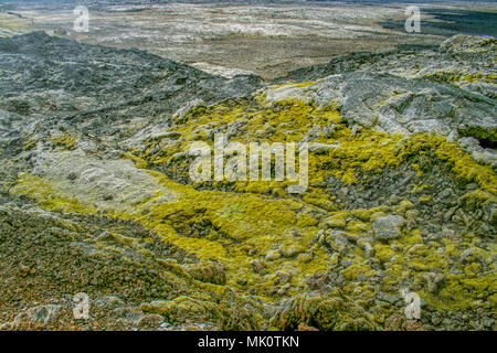 Panorama von lava Landschaft mit Moos. Stockfoto