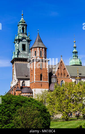 Dach Türme und Kuppeln der Kathedrale am Königlichen Schloss Wawel mit blauer Himmel und grünes Gebüsch im Park im Vordergrund, Krakau, Polen. Reisen und h Stockfoto