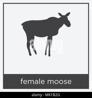 Weibliche Elche Symbol auf weißem Hintergrund mit grauen Rahmen, Zeichen und Symbol isoliert Stock Vektor