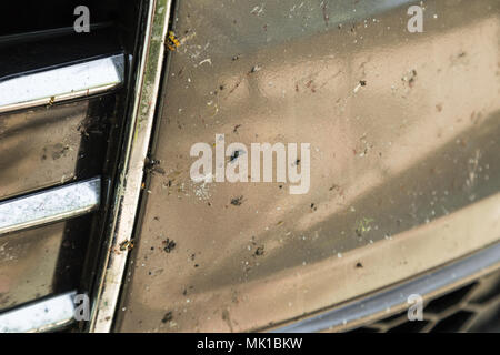 Nahaufnahme der vorderen Stoßfänger mit Viele zertrümmerte Insekten. Mit hoher Geschwindigkeit fahren. Stockfoto