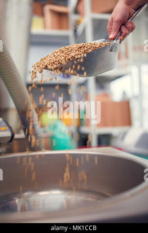 Bild der Schaufel mit frischen Kaffeebohnen, Industriewaagen Stockfoto