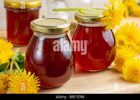 Löwenzahn Honig in Gläsern mit frischen Blumen Stockfoto