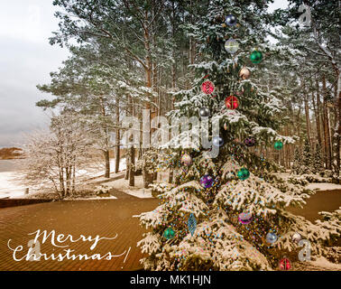 Auf die Zweige der Fichte, mit Schnee bedeckt, hängen Weihnachtsverzierungen und Kegel. Stockfoto