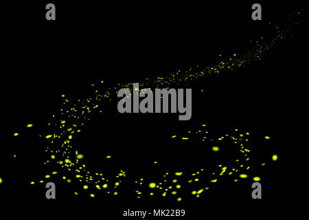 Firefly, Lightning Bugs auf schwarzem Hintergrund Stockfoto