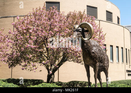 Robert Moses Plaza und Generoso Pope Memorial Auditorium, Fordham Universität Lincoln Center Campus, NYC Stockfoto