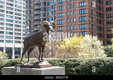 Upper West Side Architektur mit der Fordham University Ram Maskottchen Statue im Vordergrund, NYC, USA Stockfoto