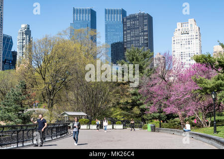 Time Warner Center, gesehen vom Central Park, New York City, USA Stockfoto