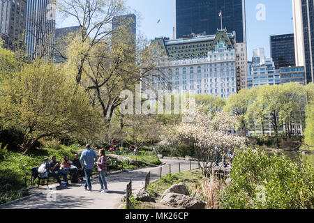 Das Plaza Hotel vom Teich im Central Park, New York City, USA Stockfoto