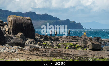 Touristen, die auf der Suche nach versteinerten Fußabdrücke von Dinosauriern auf Staffin Strand, ein Corran, Isle of Skye, Schottland, Großbritannien Stockfoto