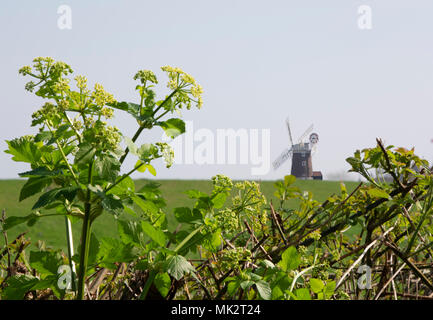 Cley Windmill gesehen über ein Feld, Cley next das Meer, North Norfolk, East Anglia, England, Großbritannien Stockfoto