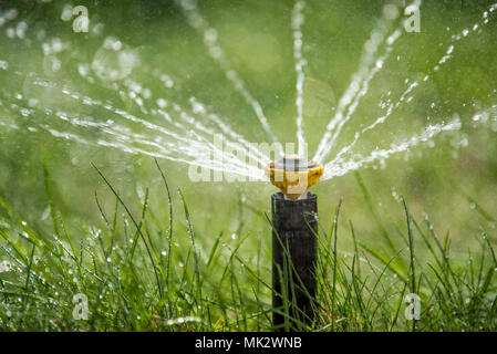 Automatische Sprinkler in Aktion Garten Rasen Bewässerung Gras Stockfoto