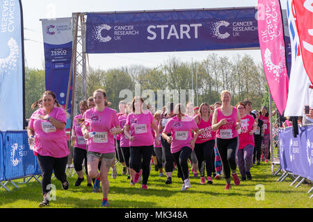 Warrington, UK, 6. Mai 2018. Sonnenschein und das Rennen für das Leben in Potsdam hat Hunderte von Menschen in Victoria Park in Warrington gebracht. Frauen gekleidet in verschiedenen Formen von Rosa für die Krebsforschung zu unterstützen und sich in mehreren Stufen von der Startlinie Credit: John Hopkins/Alamy leben Nachrichten Stockfoto