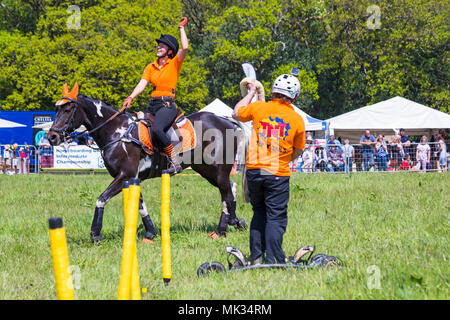 Netley Marsh, Hampshire, UK. 6. Mai 2018. Den ersten Tag der zweitägigen Veranstaltung, Hampshire Spiel&Country Messe zieht die Massen an einem heißen sonnigen Tag. Horseboarding, Pferdepension, ist ein aufregender Sport, wo die Grenze bei Geschwindigkeiten von bis zu 28 mph Um eine Reihe von Hindernissen, die von einem galoppierenden Pferd gezogen wird. Stockfoto