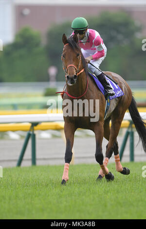 Fuchu, Tokio, Japan. 6. Mai, 2018. Keiai Nautique (Yusuke Fujioka) Pferderennen: Keiai Nautique geritten von Yusuke Fujioka nach dem Gewinn der NHK Meile Cup in Tokio Pferderennbahn in Fuchu, Tokio, Japan. Quelle: LBA/Alamy leben Nachrichten Stockfoto