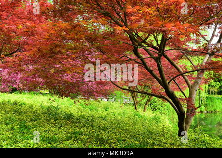 Hangzhou, Hangzhou, China. 7. Mai, 2018. Hangzhou, China - Landschaft von West Lake Scenic Area in Hangzhou, China Zhejiang Provinz. Credit: SIPA Asien/ZUMA Draht/Alamy leben Nachrichten Stockfoto